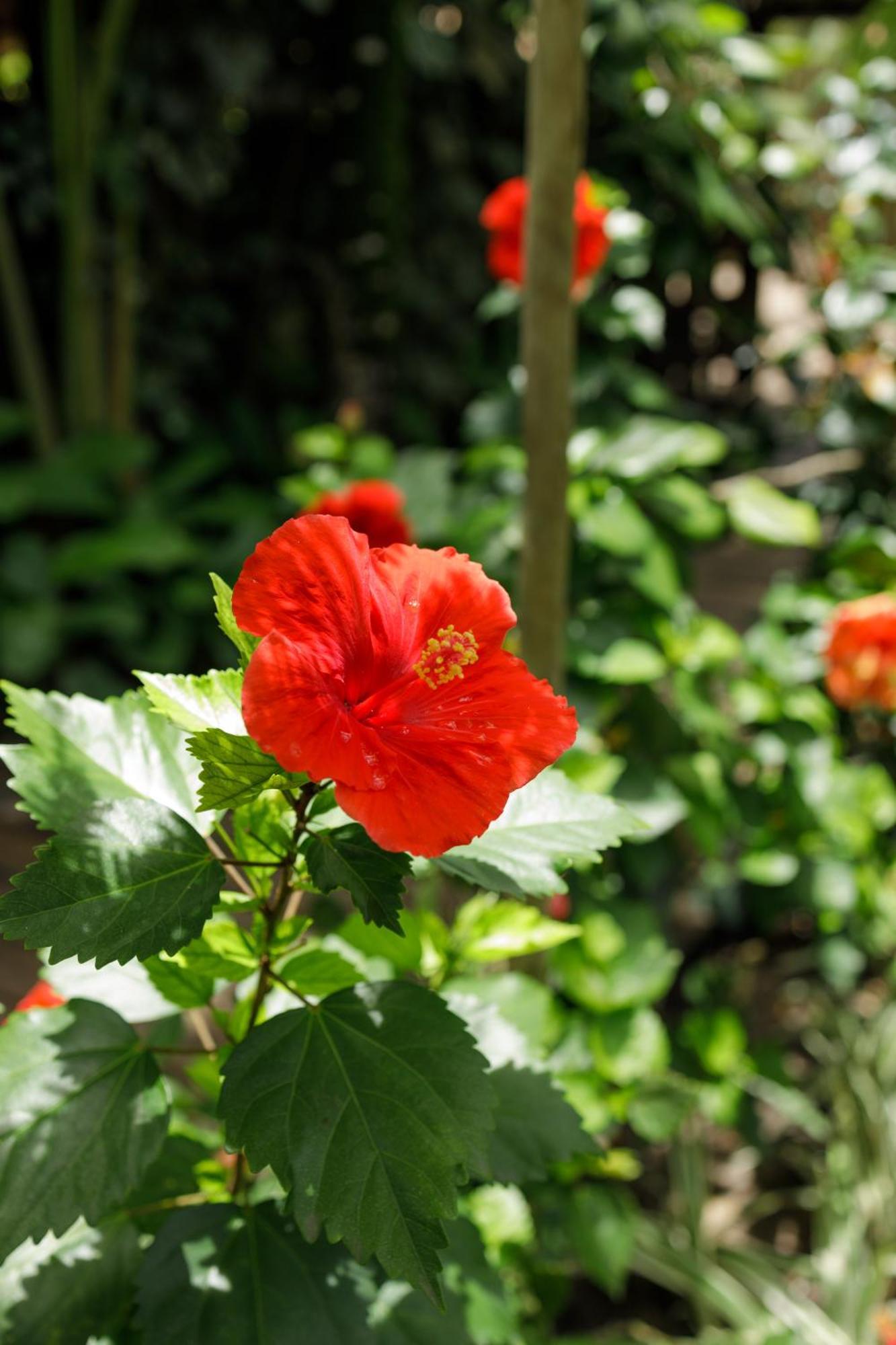Pousada Nativa Caraíva 外观 照片